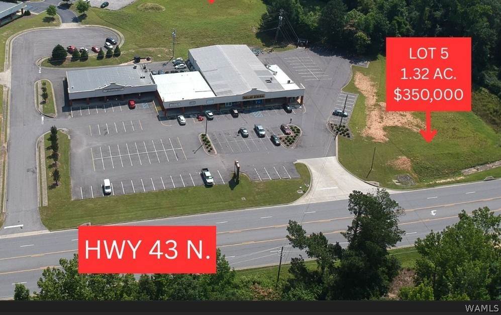 4419 Highway 43 - Photo 1
