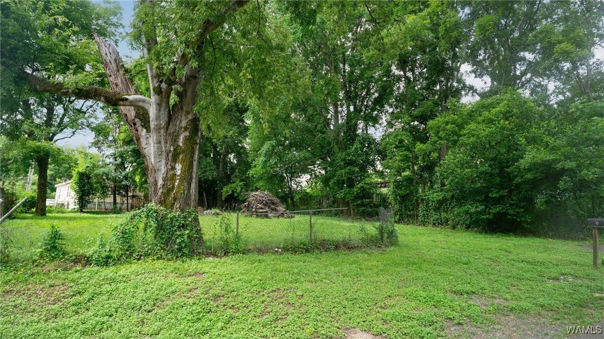 https://bt-photos.global.ssl.fastly.net/tuscaloosa/orig_boomver_2_169277-2.jpg