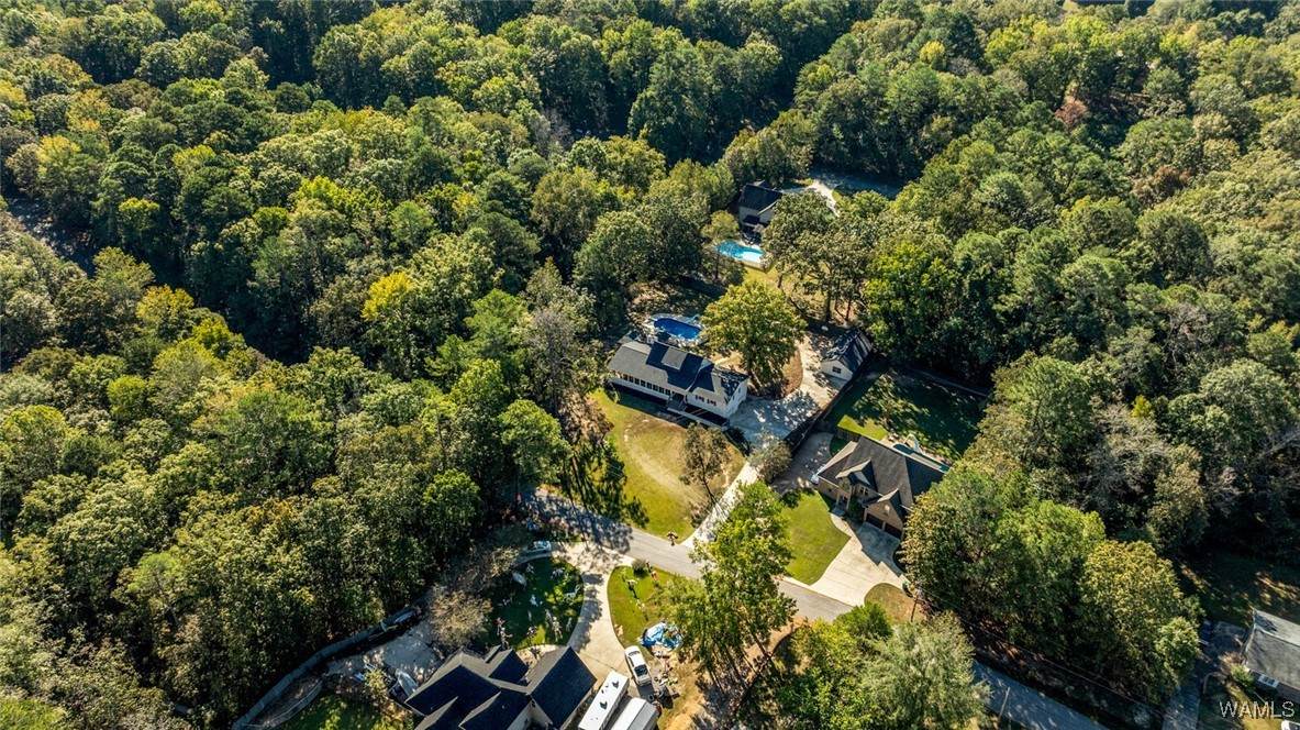 21295 Leslie Drive - Photo 1