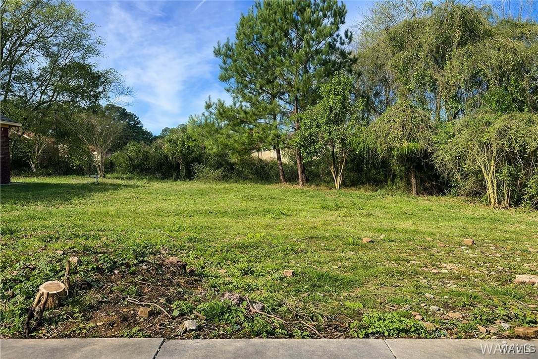 4128 Watermelon Road - Photo 1