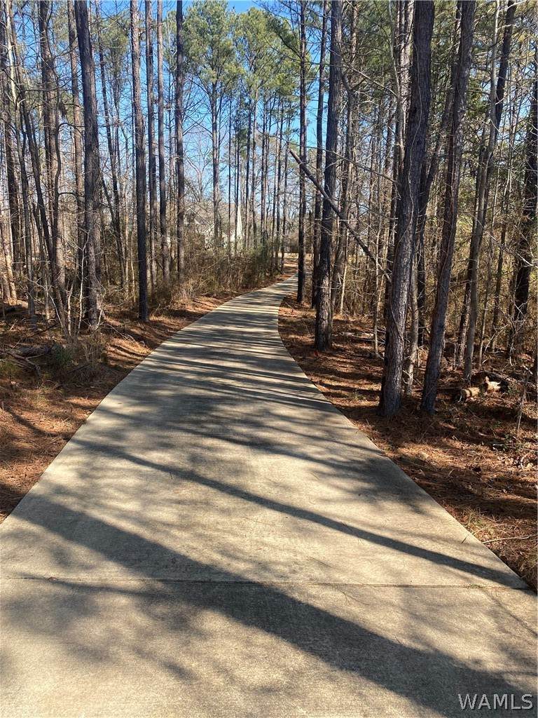https://bt-photos.global.ssl.fastly.net/tuscaloosa/orig_boomver_3_173249-2.jpg