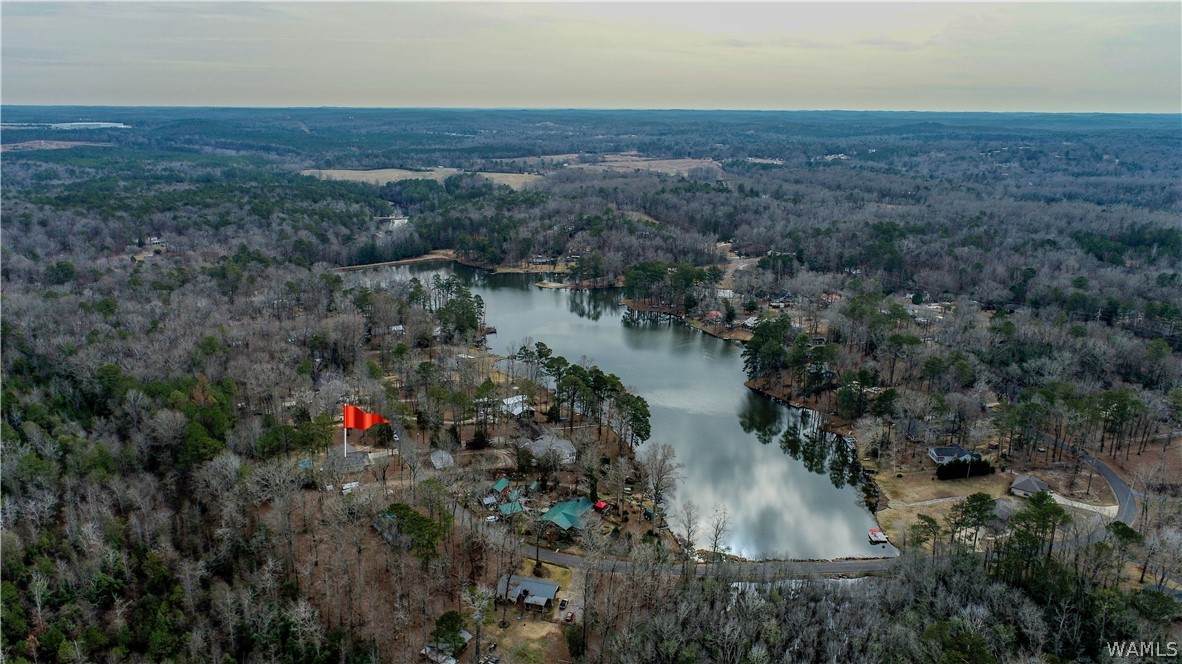 https://bt-photos.global.ssl.fastly.net/tuscaloosa/orig_boomver_3_175337-2.jpg