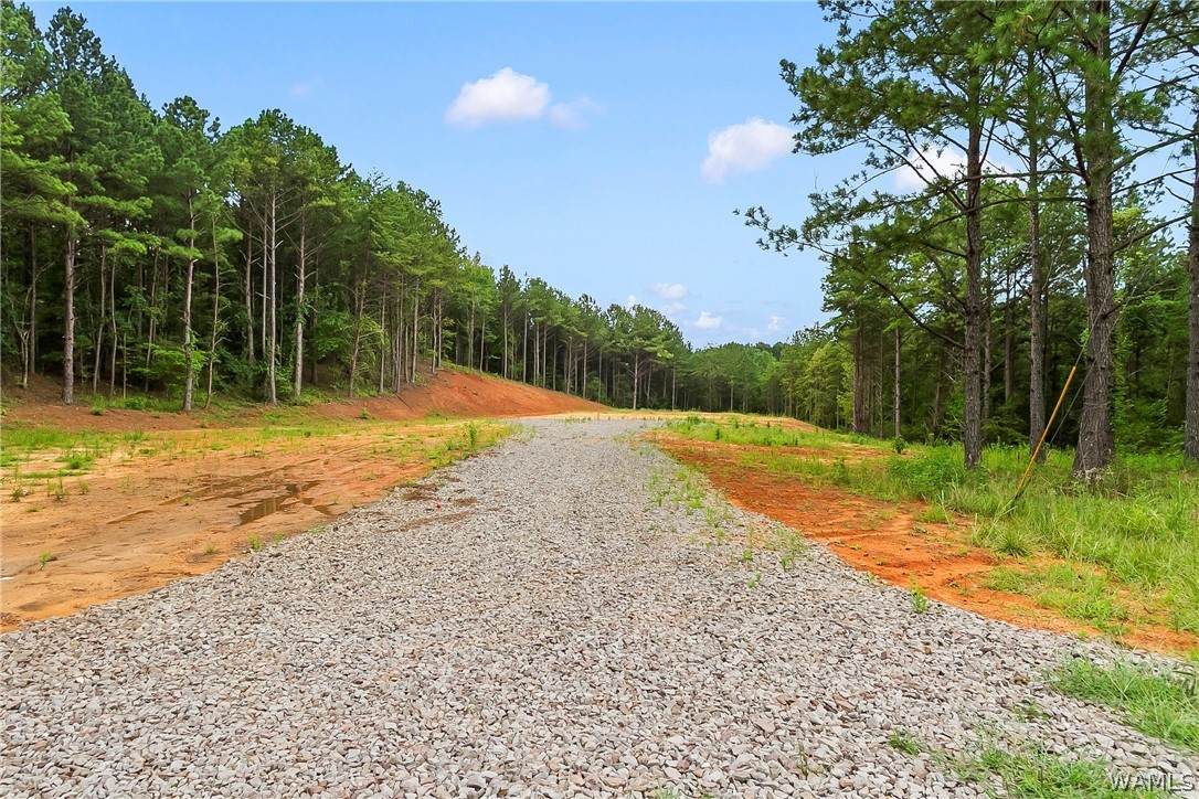 15239 Ridgeland Drive - Photo 1