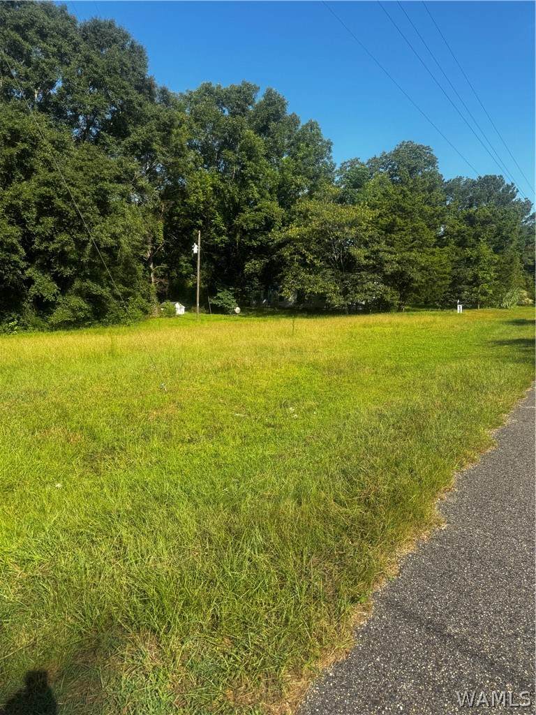 https://bt-photos.global.ssl.fastly.net/tuscaloosa/orig_boomver_3_176831-2.jpg