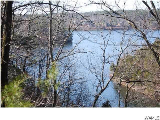 14612 Lake Island Road - Photo 1