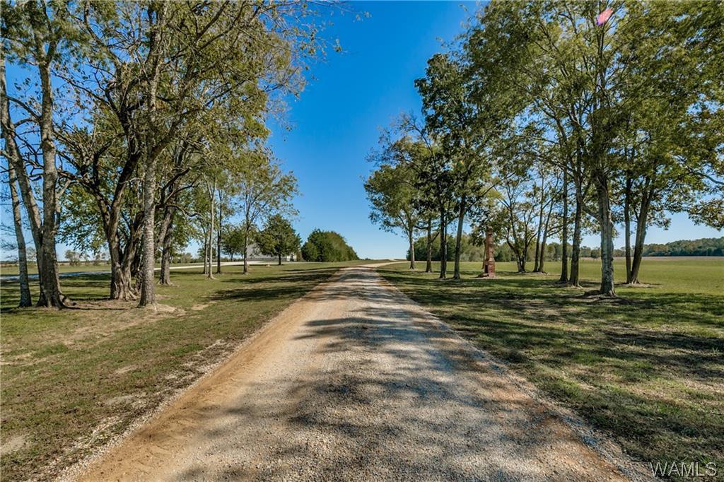 6715 Al Hwy. 61 - Photo 1