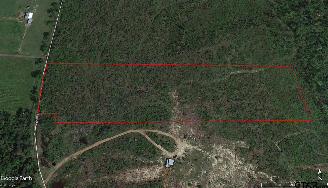 TBD Palm Rd. - Photo 1