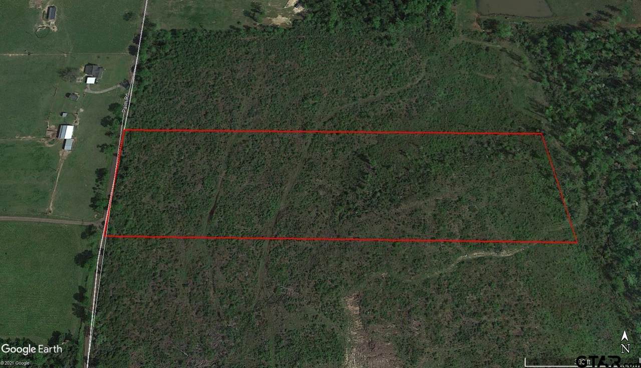 TBD Palm Rd. - Photo 1