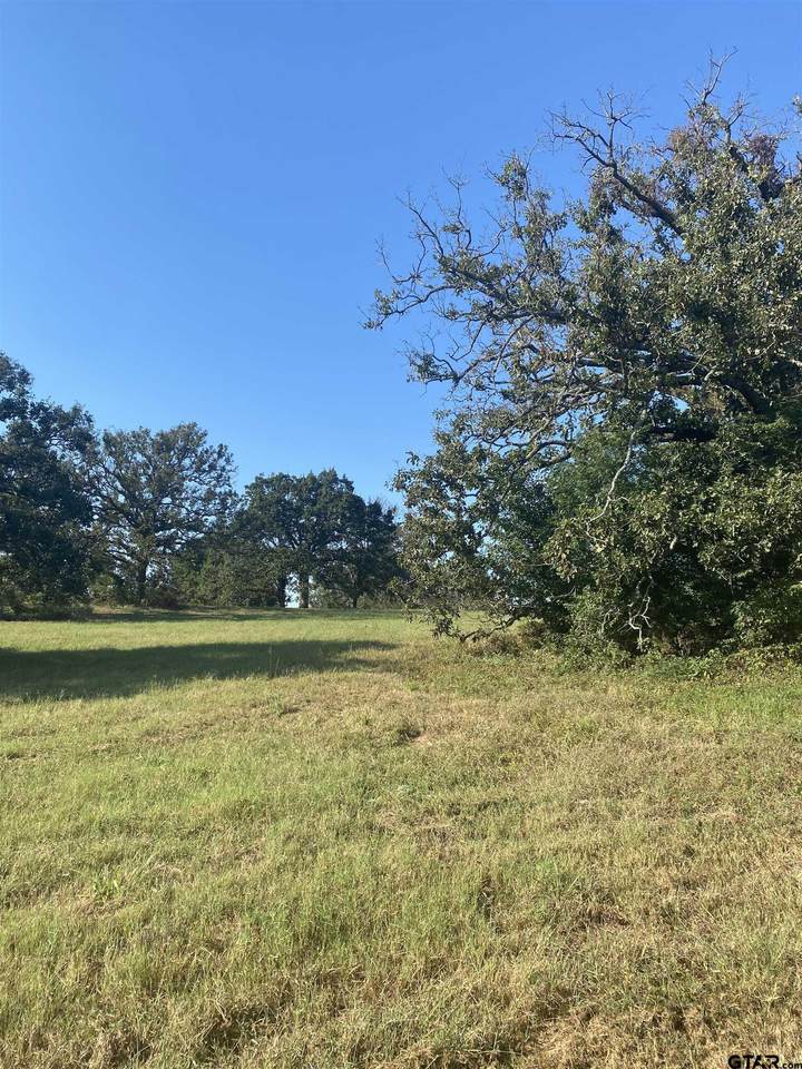232 Wildlife Way - Photo 1