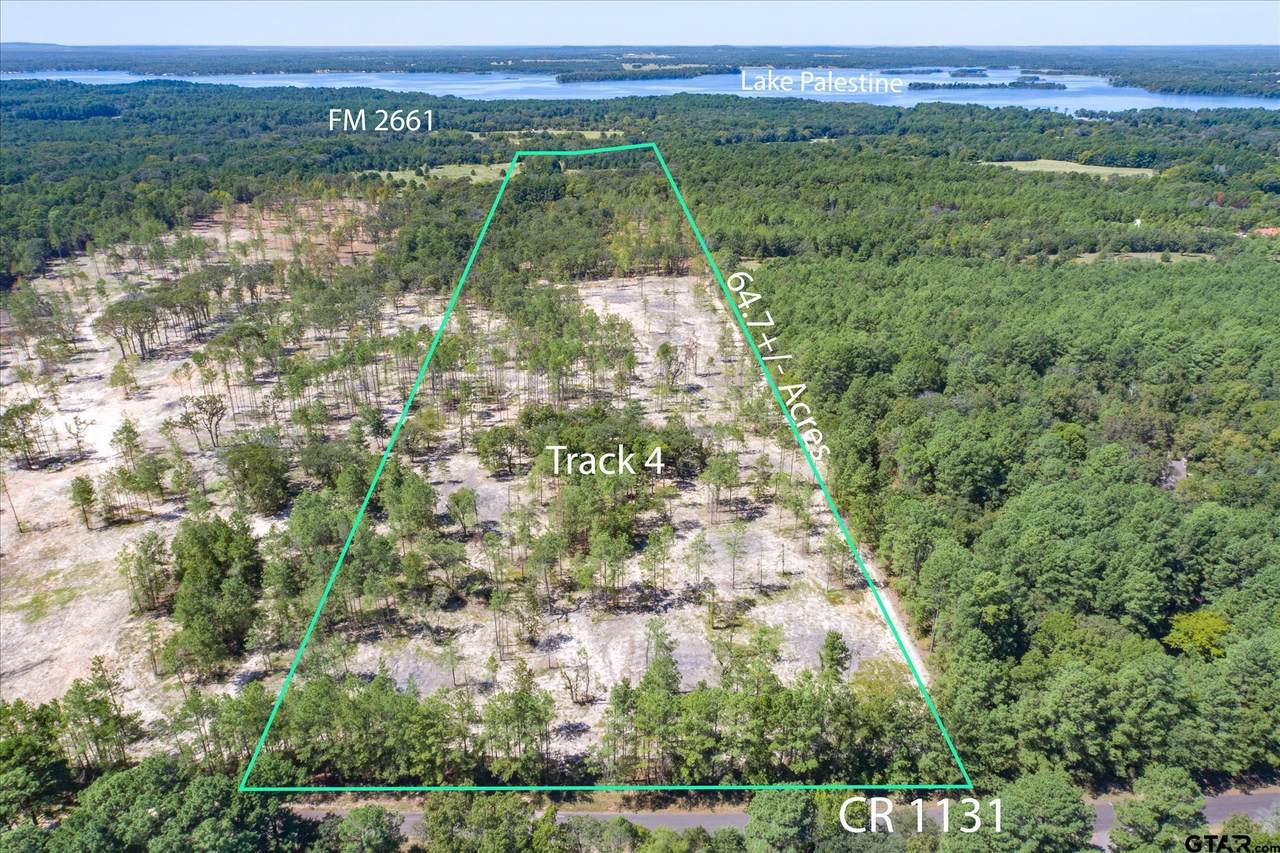 0000 County Road 1131 - Photo 1