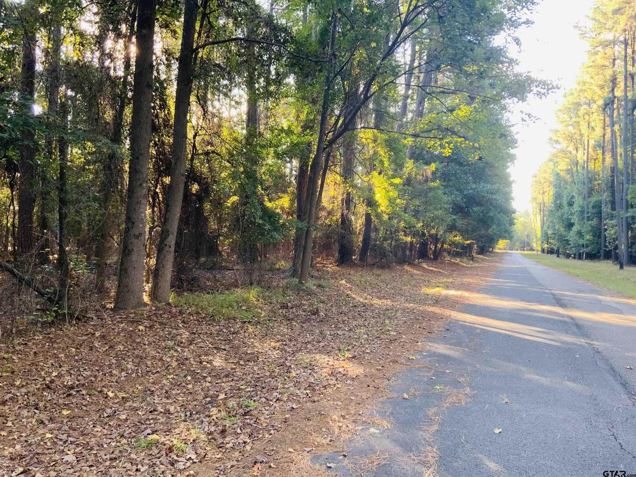 TBD Wildwood Trail - Photo 1