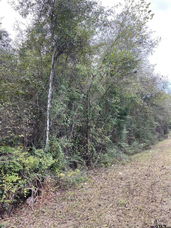 TBD Fm 279 - Photo 1