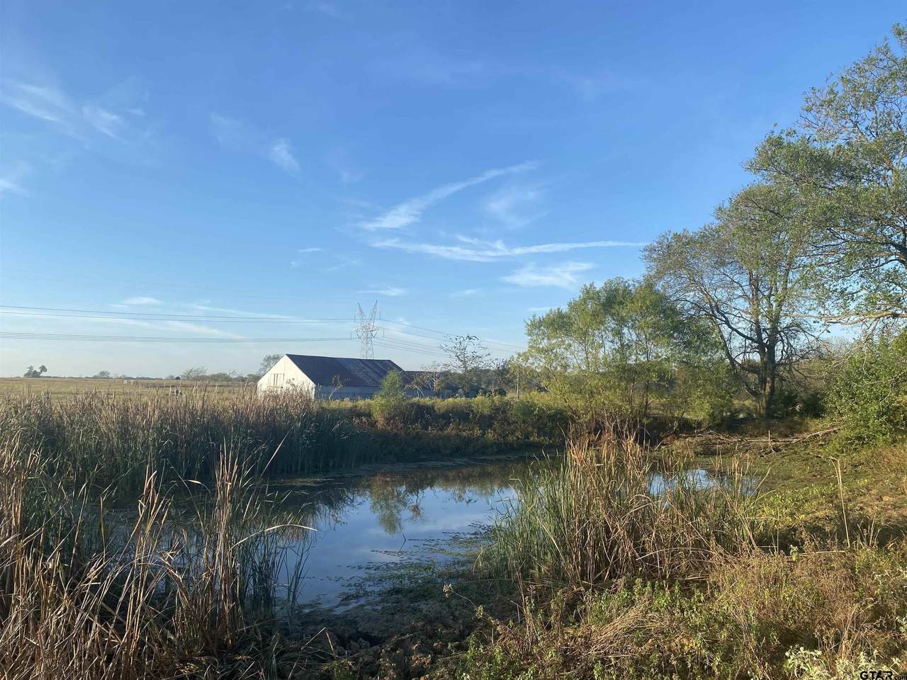 33Acres County Road 1114 - Photo 1