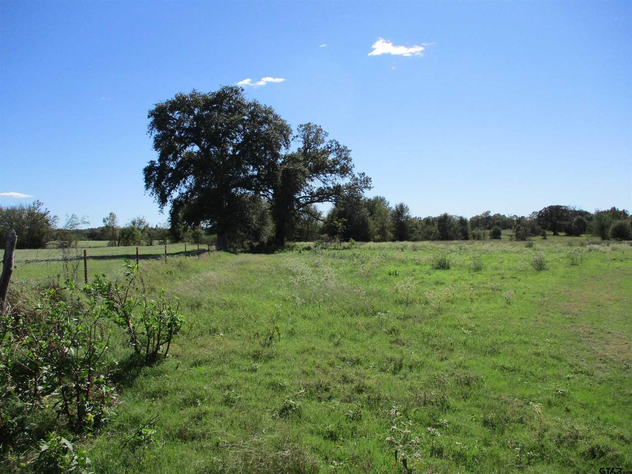 TBD Rs County Road 2410 - Photo 1
