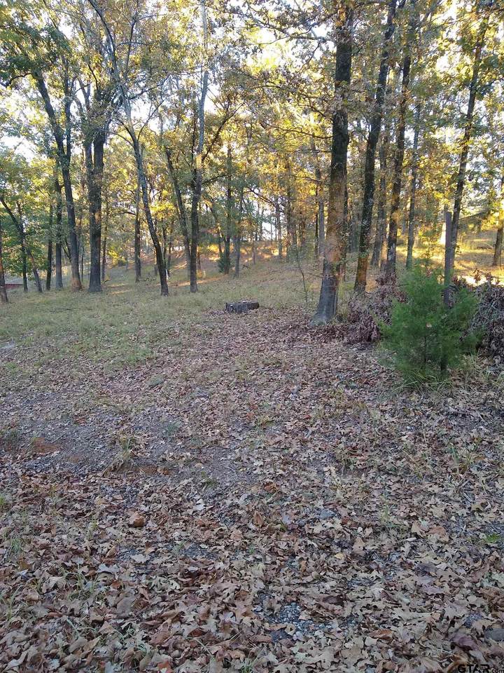 TBD County Road 1388 - Photo 1