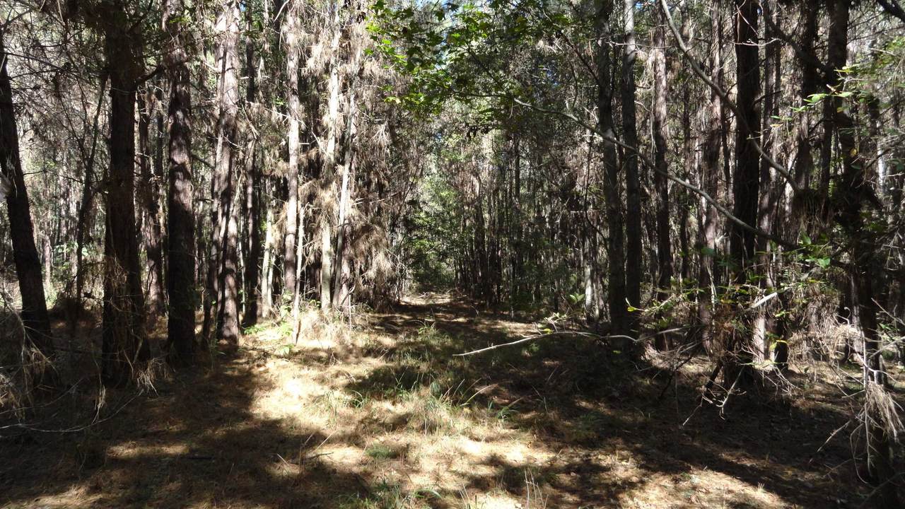 TBD Fm 1662 - Photo 1