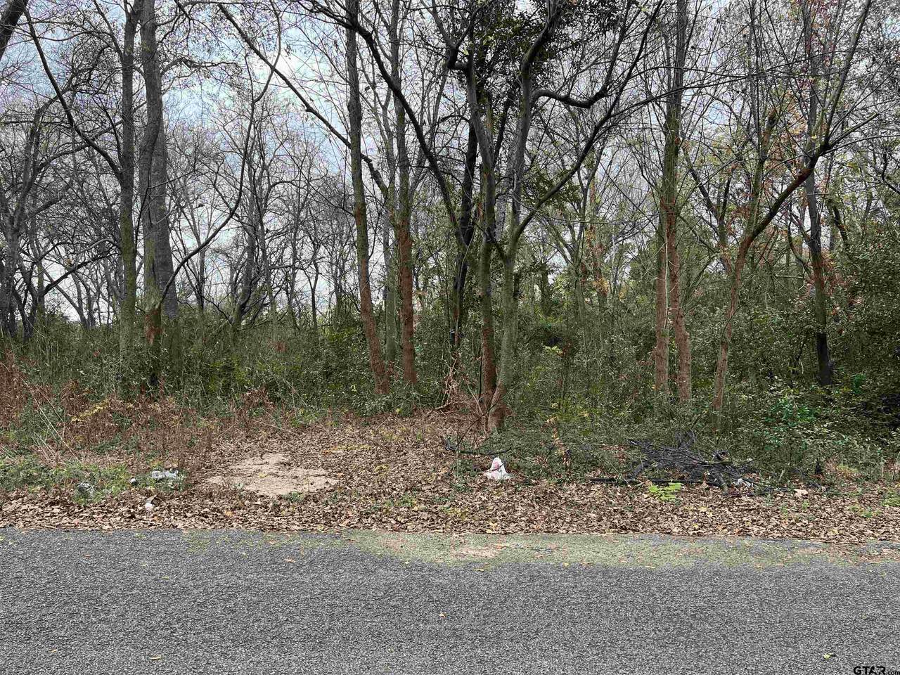 809 & 815 Boyd Ave - Photo 1