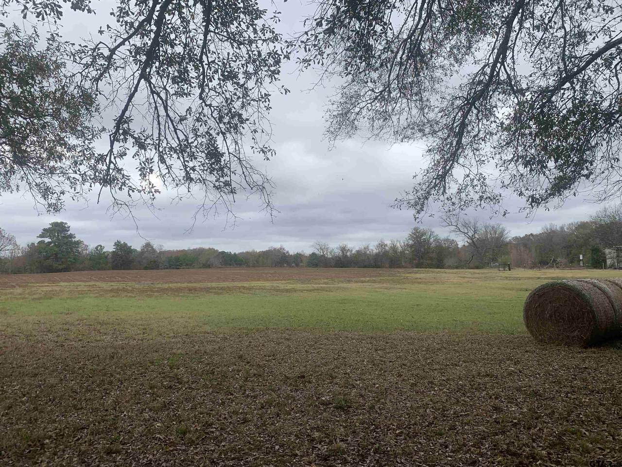 TBD County Road 4119 - Photo 1