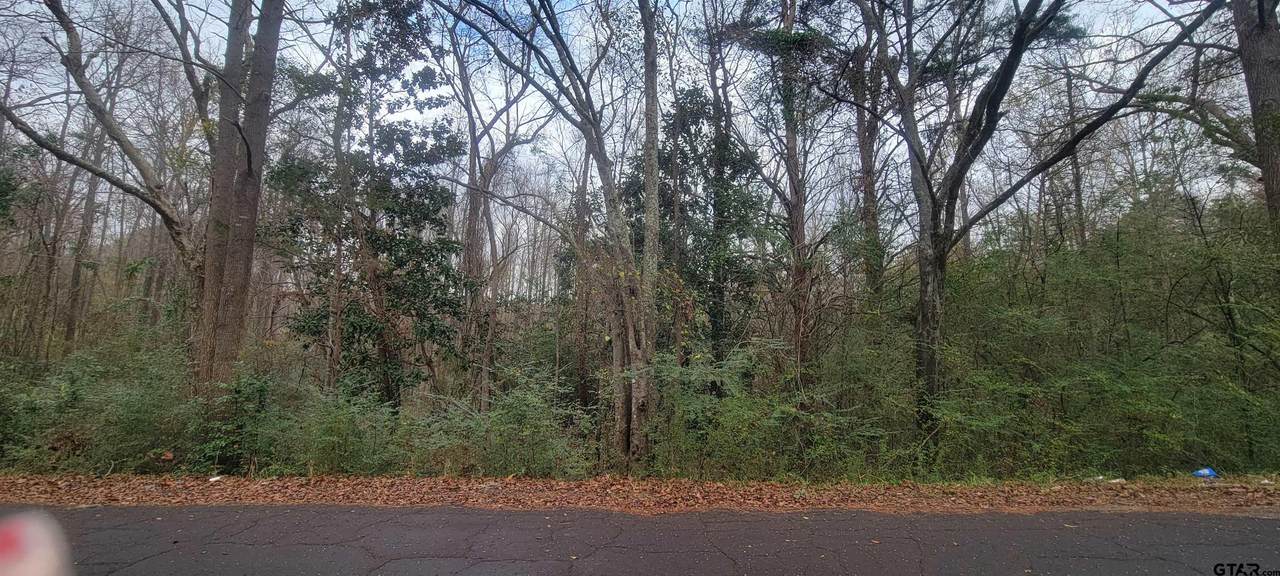 TBD County Road 334 - Photo 1