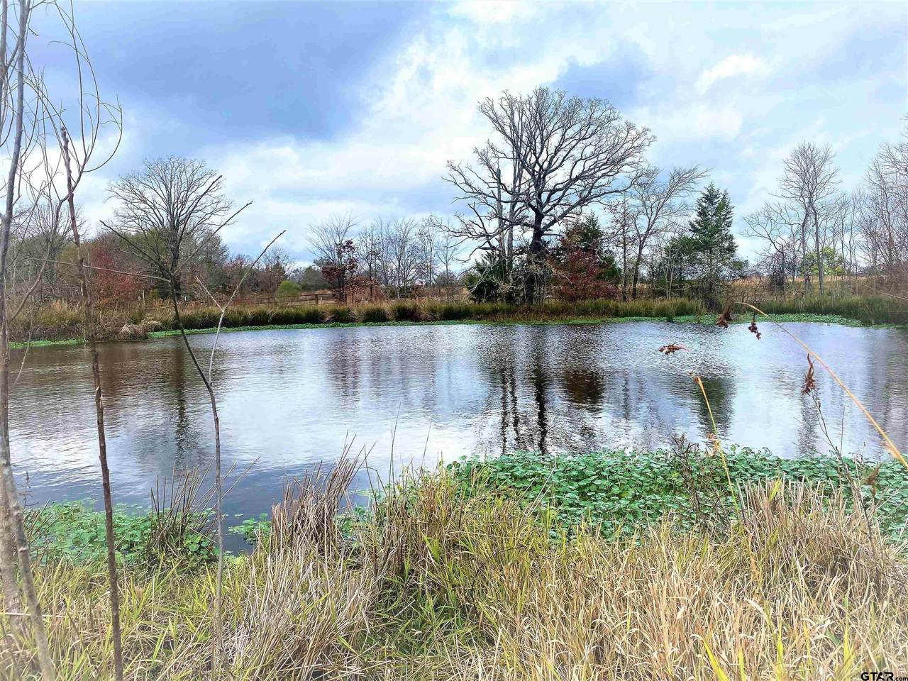 13156 Fm 317 - Photo 1