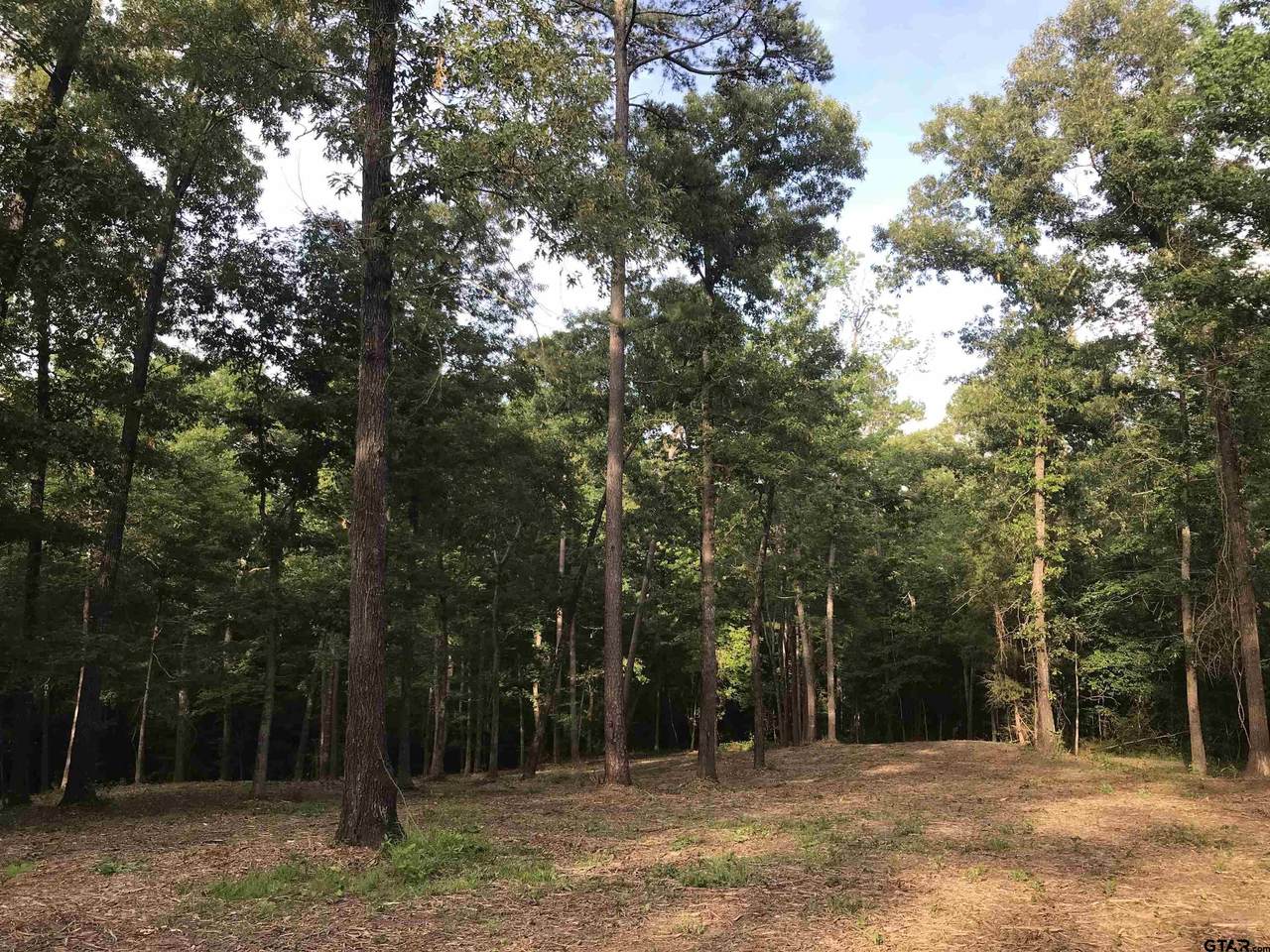 554 County Road 4575 - Photo 1