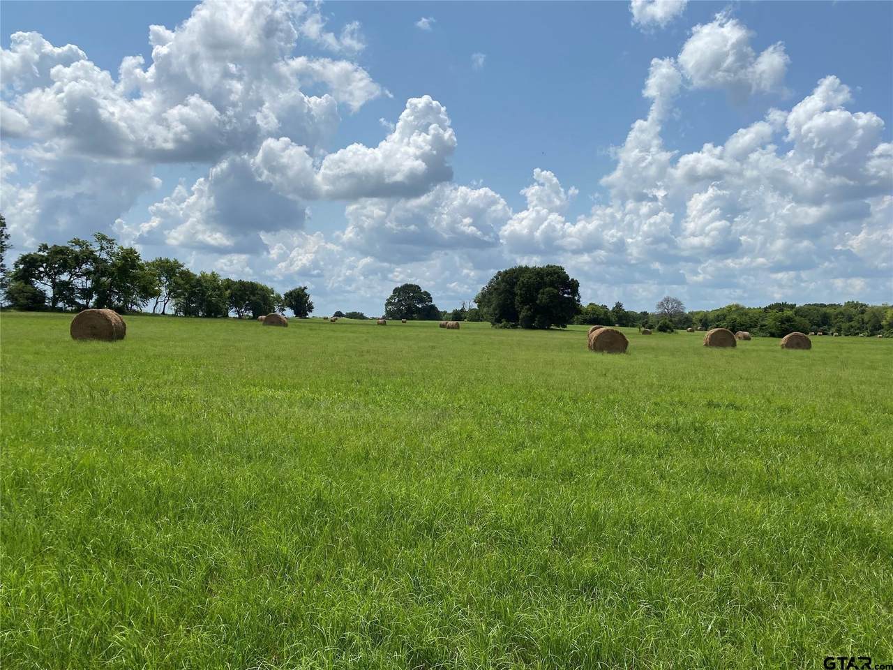 50ac Hwy 11 - Photo 1