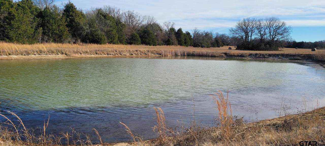 TBD St. Highway 276 - Photo 1