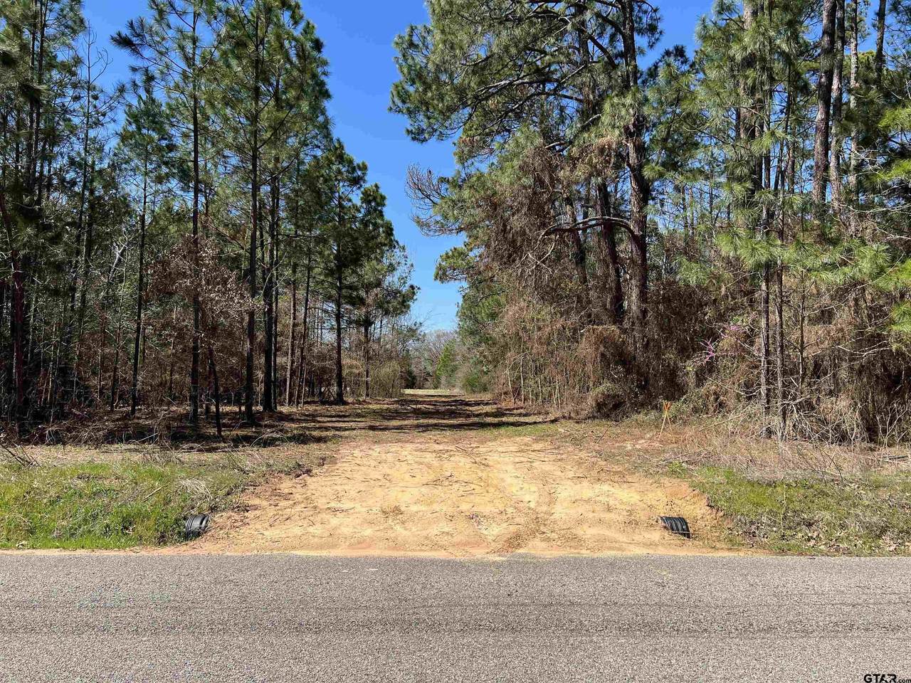 TBD Lot 1 Evergreen Dr - Photo 1