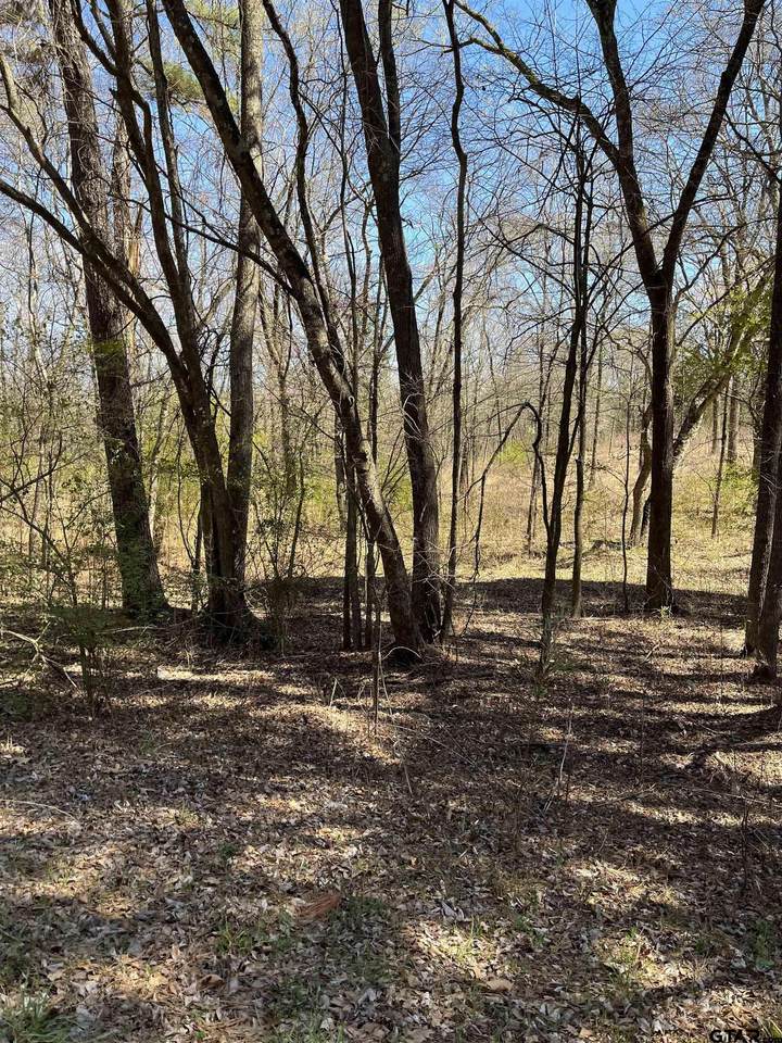 TBD Cr 3070 - Photo 1