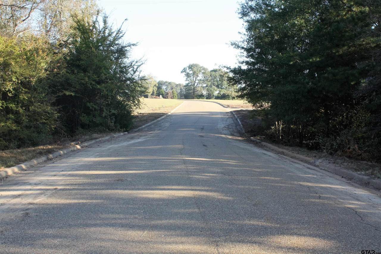TBD Armadillo Rd - Lot 20 Meadow Springs Subdivision - Photo 1