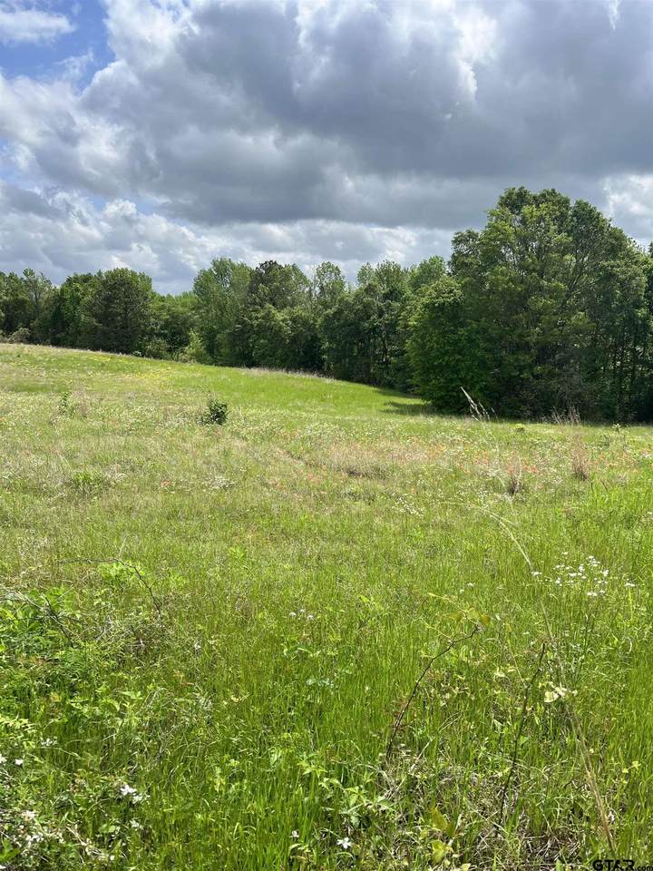 000 Hwy 175 - Photo 1