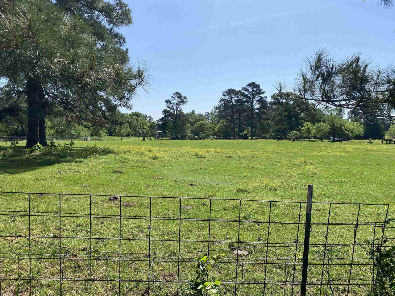 TBD Pine Rd. - Photo 1