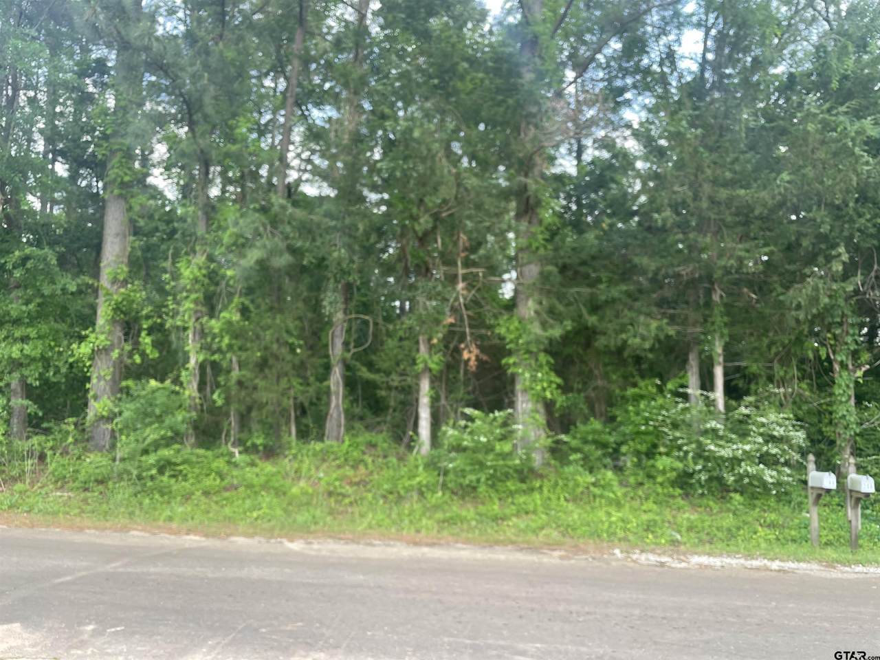 187 Chelsea Ln. - Photo 1