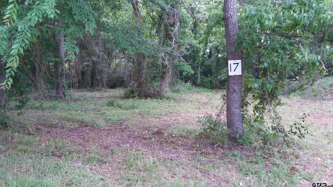 0 Meadow Crest Drive - Photo 1