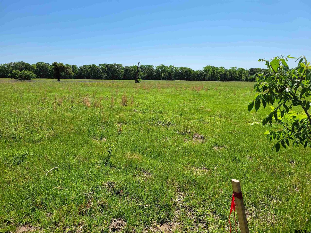 LOT 5 Cr 2389 - Photo 1