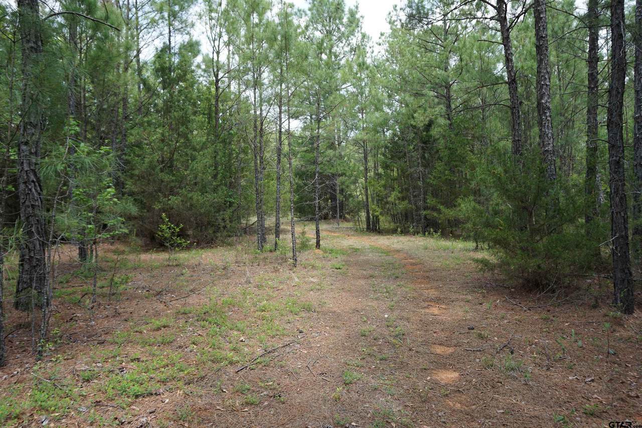 TBD County Road 3056 - Photo 1