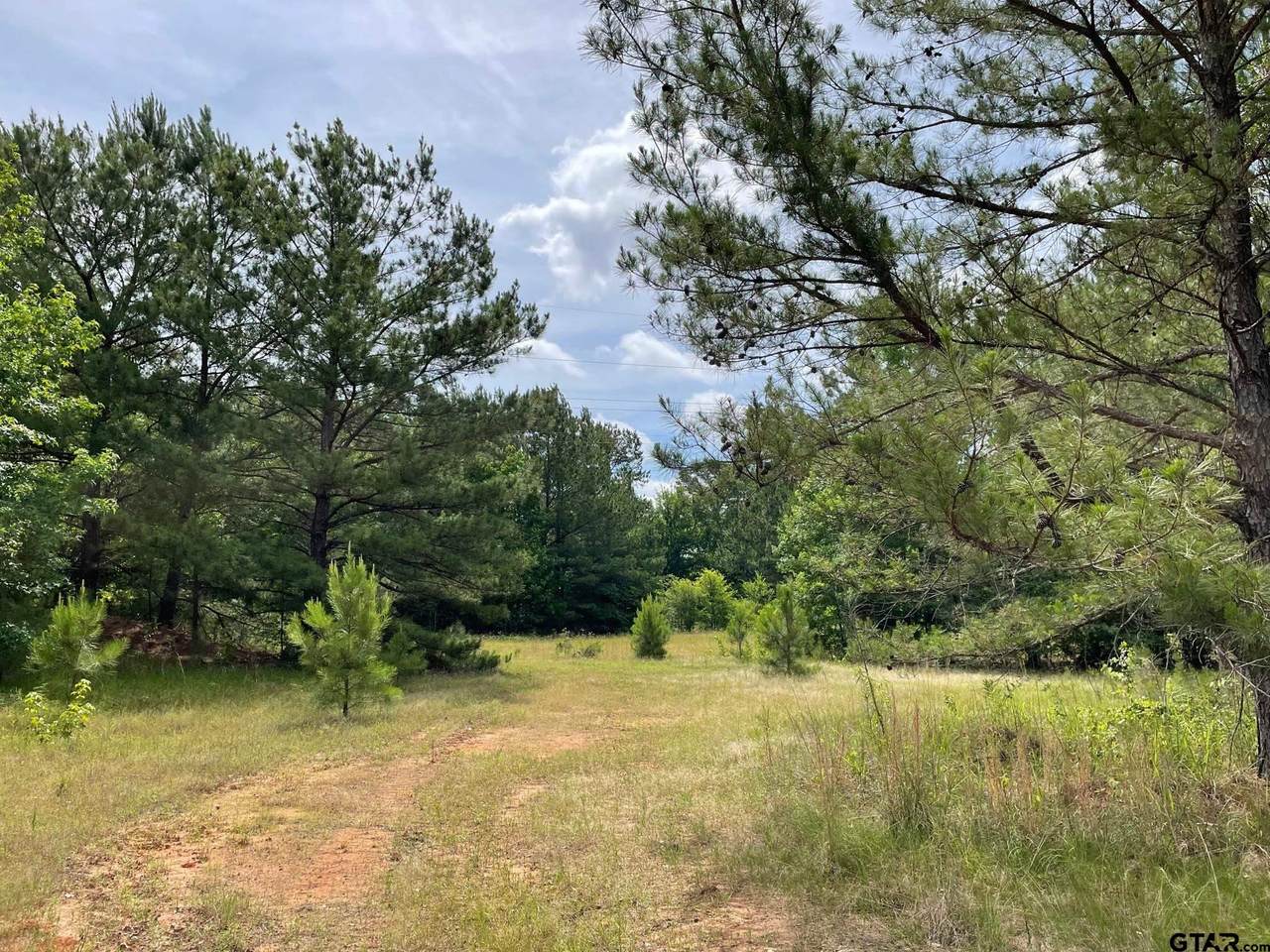 3430 Hwy 271 - Photo 1