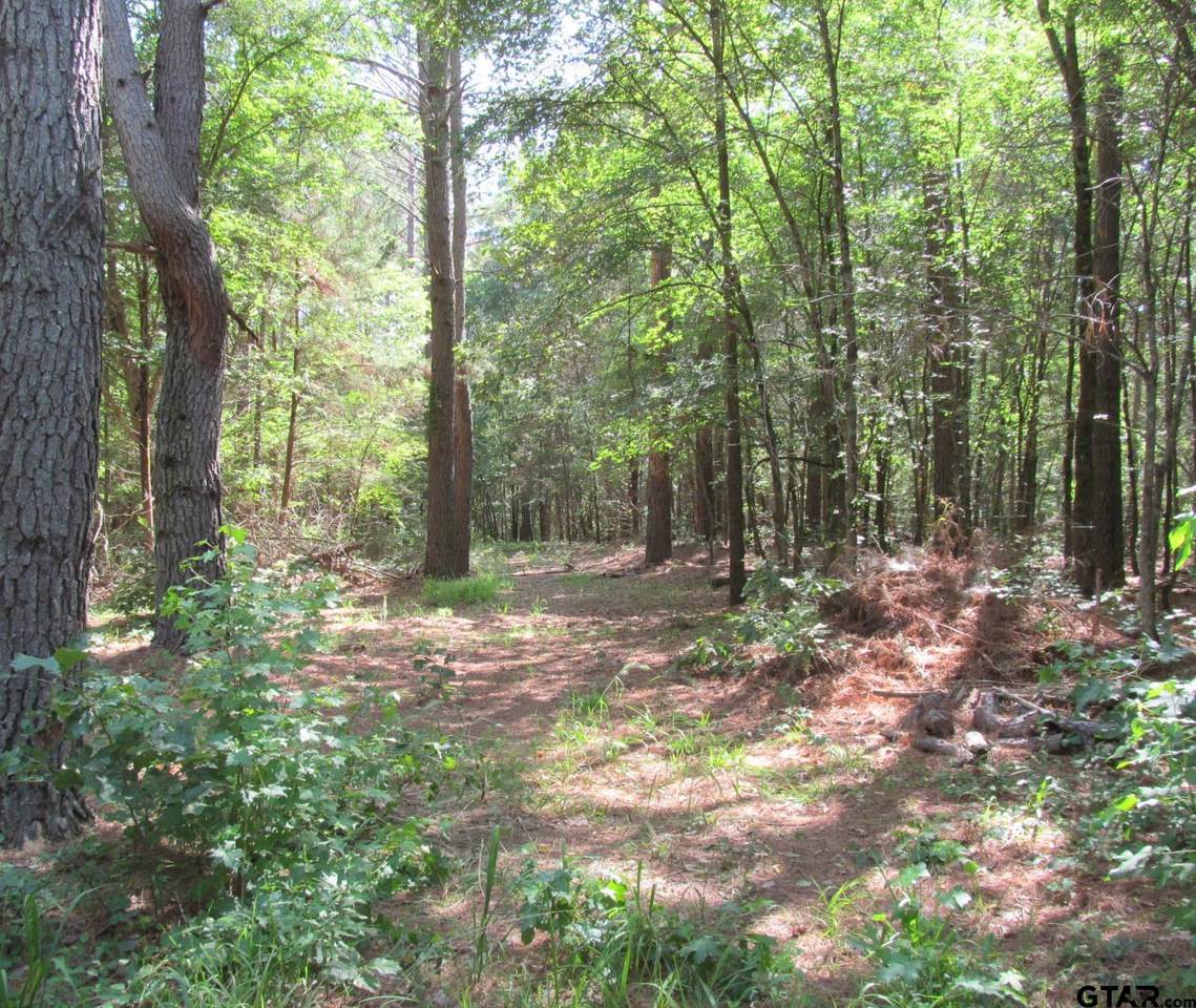 11853 Off Waterbuck Road - Photo 1