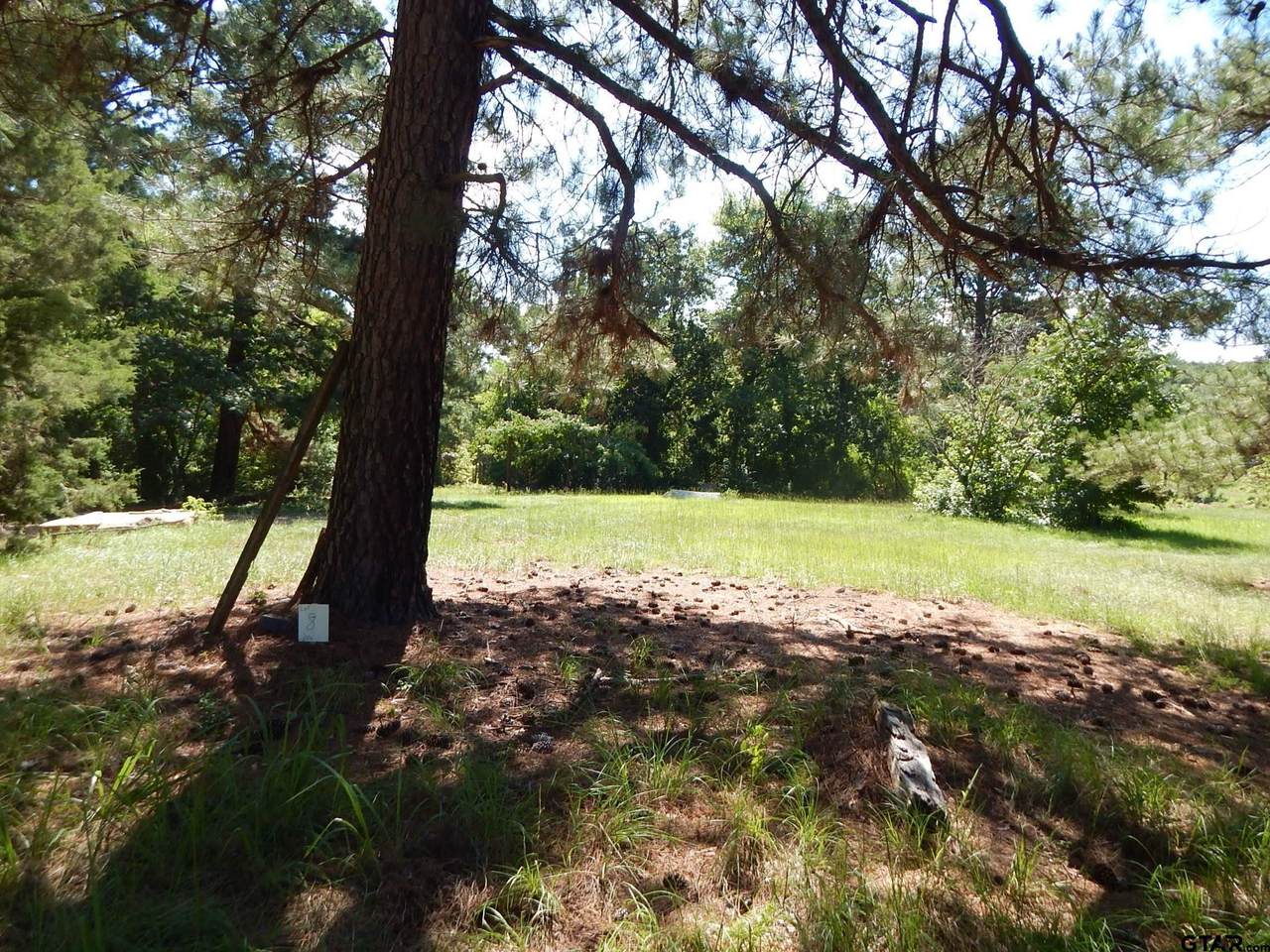 TBD LOT 8 Law Rd - Photo 1