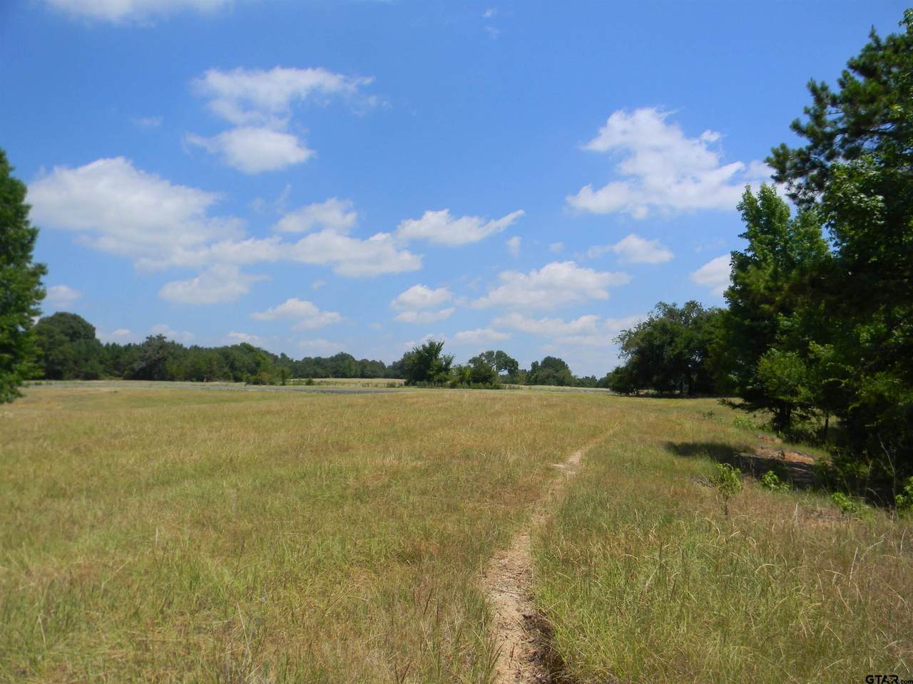 5 Belles Lane - Photo 1