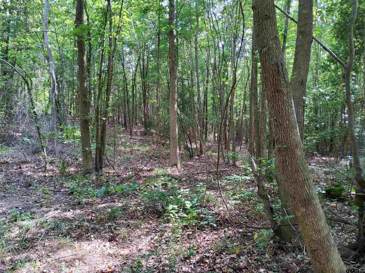 TBD Nutmeg Rd - Photo 1