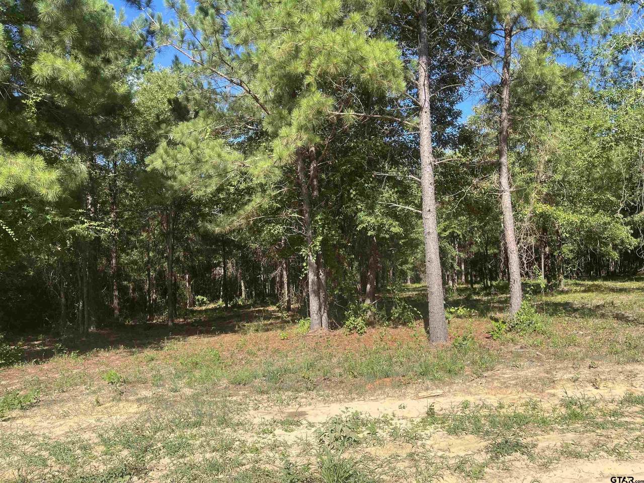 2613 Fm 346 - Photo 1