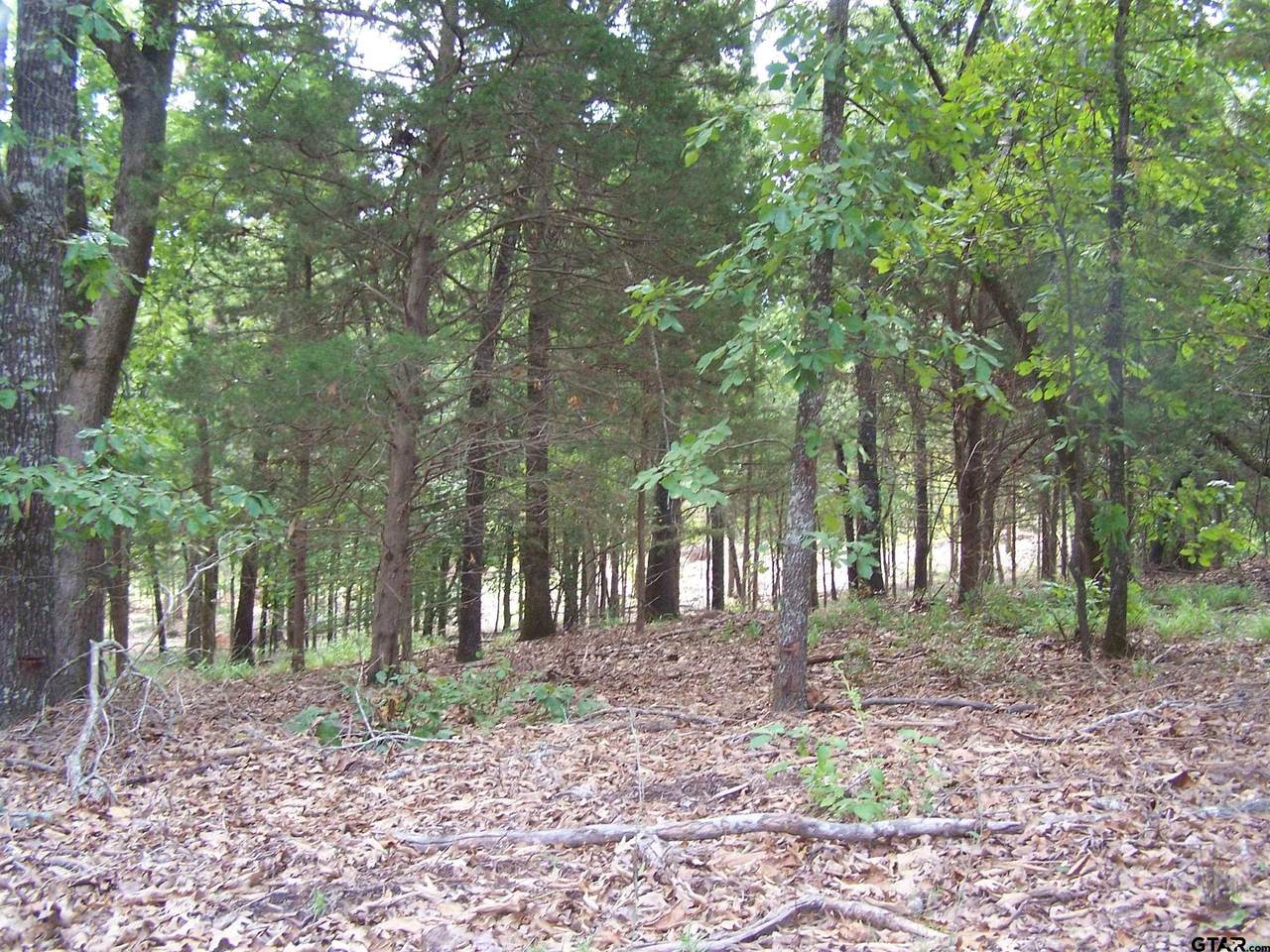 13648 County Road 420 - Photo 1