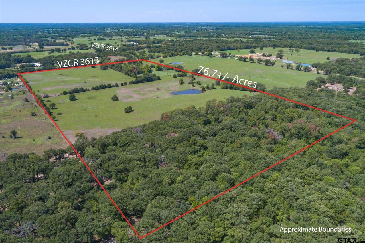 TBD Vz County Road 3613 - Photo 1