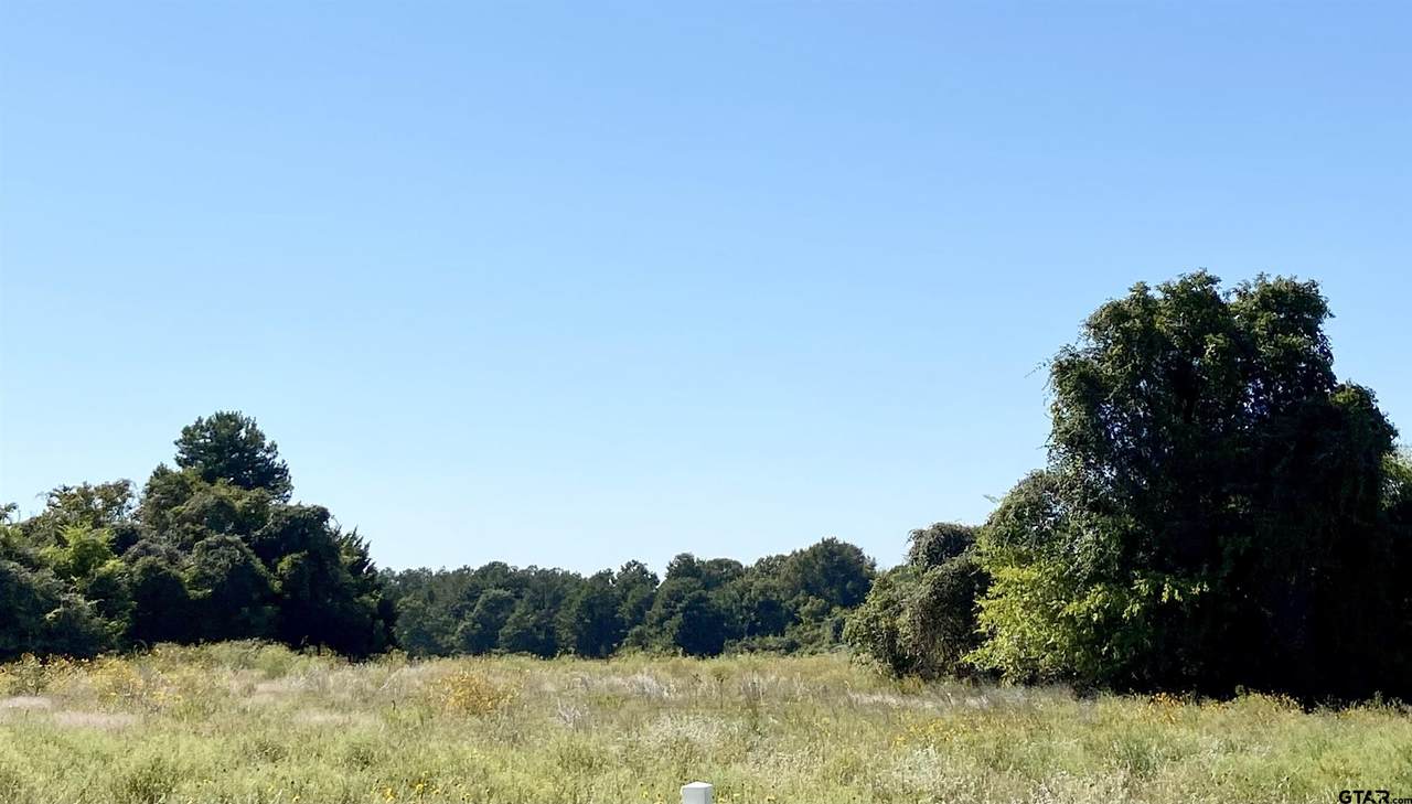 2777 Fm 346 N - Photo 1