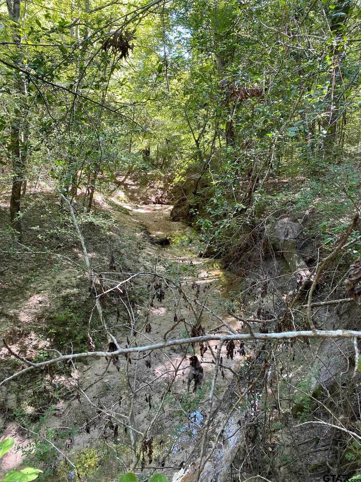 TBD Cr 2834 - Photo 1
