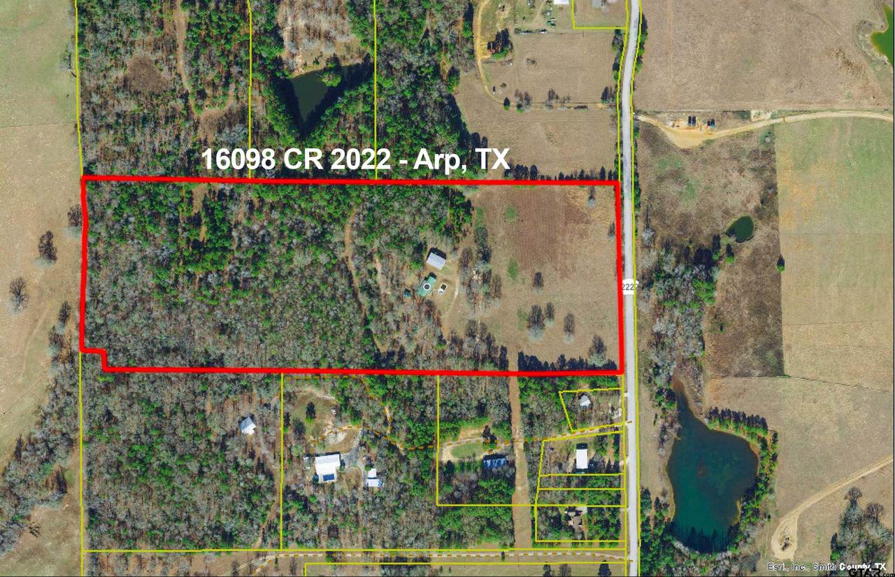 10698 County Road 2222 - Photo 1