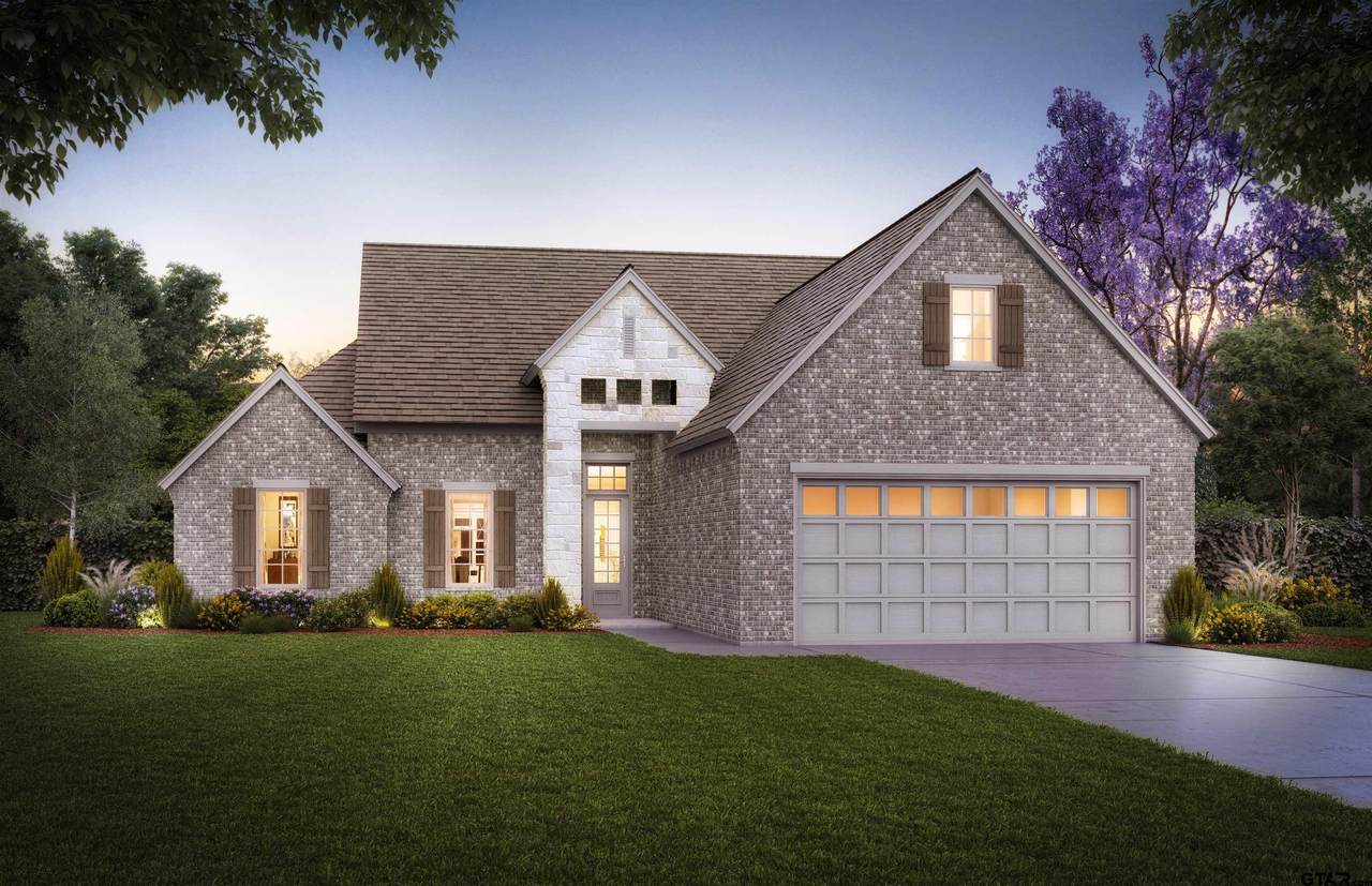 4170 Palo Pinto Creek Circle - Photo 1