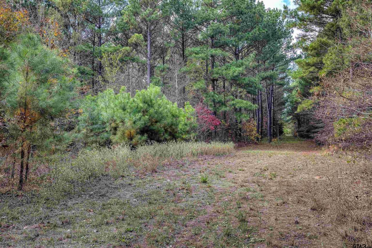 188.35 Acres TB County Road 179 - Photo 1
