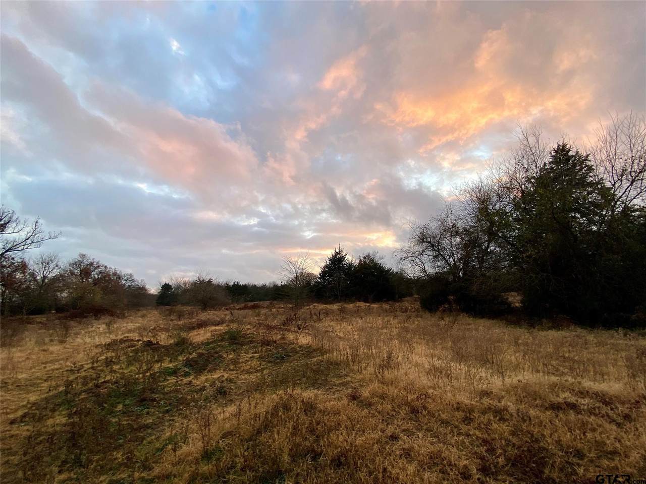 1140 County Road 2332 - Photo 1